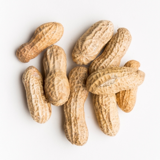Picture of NON SALTED PEANUT IN SHELL