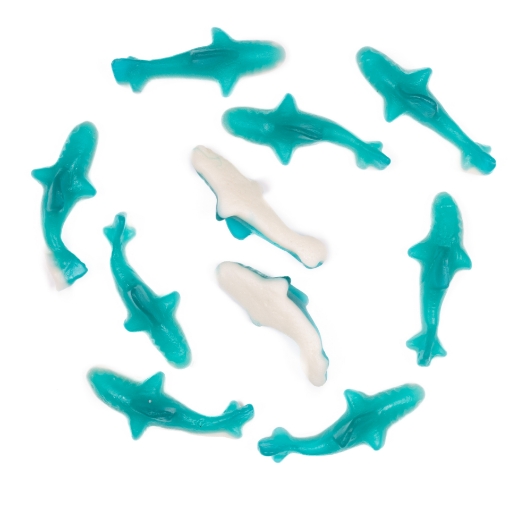 Picture of Blue Shark