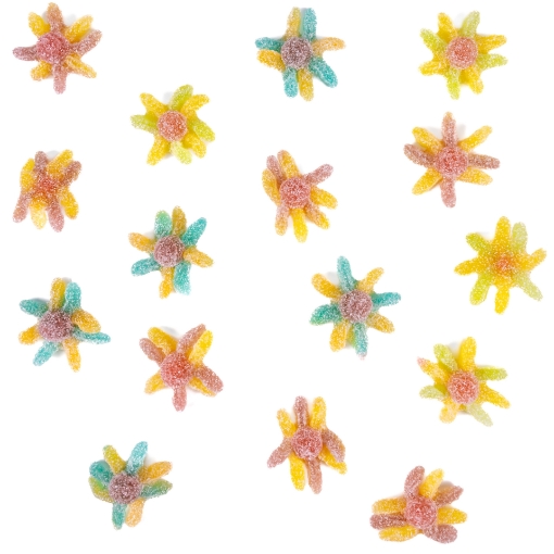 Image sur PIEUVRE SURETTE